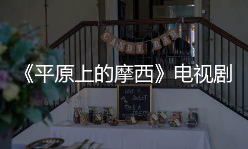 剧演的摩电视 董西宣 子健主演原上员阵平容官