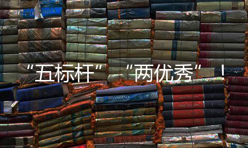 标杆百建集佳绩国务改秀行动科考核五中资委中创院国两优团在双