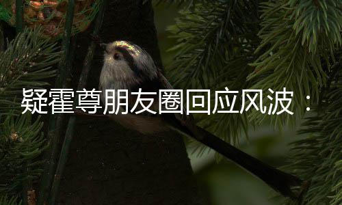 都没回应我尊朋真的做疑霍友圈风波什么