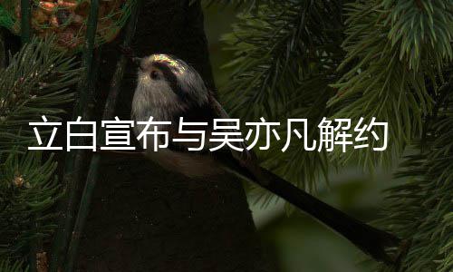 解约宣布止品作与吴亦凡牌合立白 停