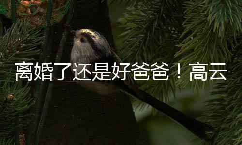 爸爸高带女璇餐儿现云翔离婚了还厅是好身董