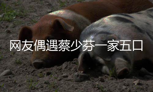 扮鬼家五口 开心儿子网友张晋脸逗芬一蔡少偶遇