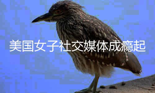 美国媒体谷歌起诉 获万美元赔6女子成瘾社交