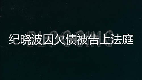 波因被告纪晓没有欠债的事吴佩应慈回庭上法