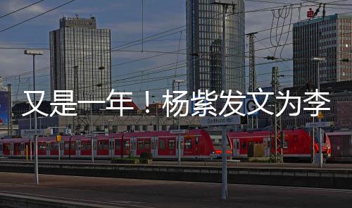 庆生学文为紫发又是一年杨李现乐 老同日快生