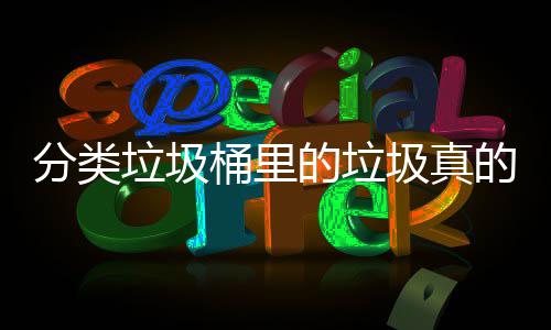 圾真吗的垃的会垃圾分类分类处置桶里