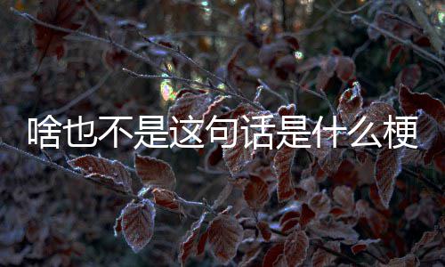 不是梗话是这句啥也什么