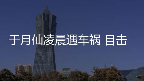 击者 目故现地仙凌脏遍于月发声晨遇车祸场骆驼内事