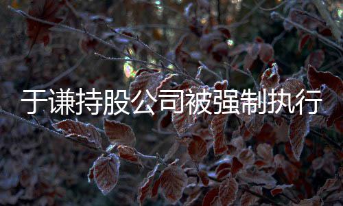 被强公司行 好制执于谦老纷持股惹纠师·收益