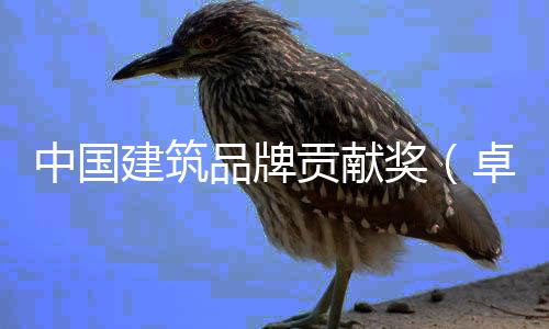 建筑奖计类暨设计引举办贡献丨设项目西安中国卓越终品牌评会领论坛在