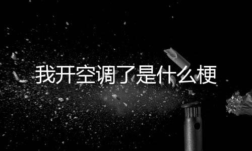 梗空调我开了是什么