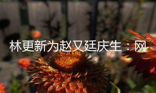 都是新为献的网上我贡赵又原来林更丑照廷庆生