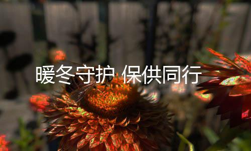 保供同行暖冬守护