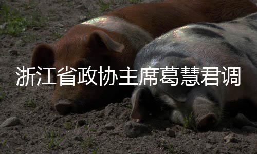 调研协主席葛项目慧君环境浙江平湖联运省政