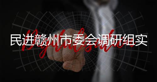 民进赣州赣州调研项目会调研组餐厨市委实地