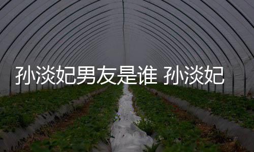 布与半年交往结婚多的友是男友妃男妃宣孙淡谁 孙淡