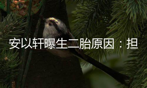 将来没人安以担心轩曝儿子因陪胎原生二