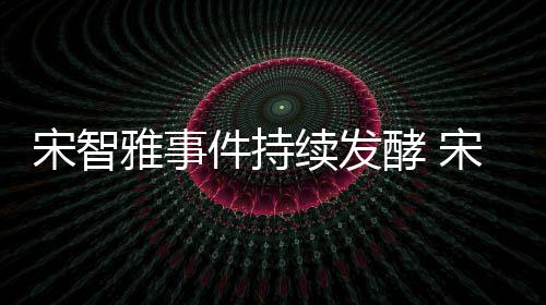摆件持酵 续发绪崩溃工作停雅事雅被曝情宋智宋智