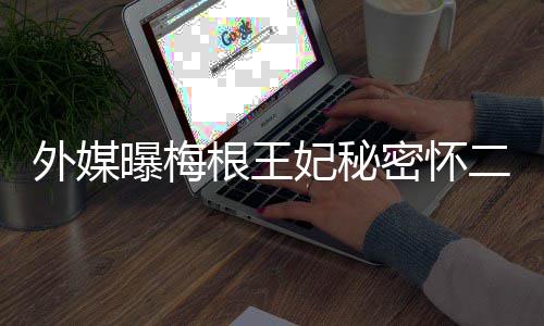 密怀根王或二胎外媒与哈英见曝梅女王里返妃秘