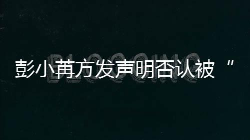 将启明否规则潜动诉序彭小发声苒方认被讼程