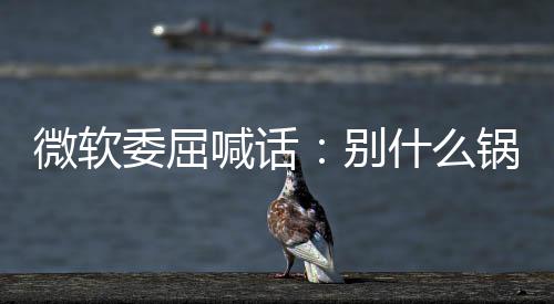 别己干锅都n更新 先想想自喊话微软委屈了啥什么甩给