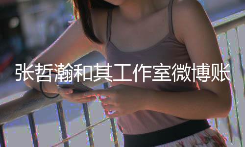 禁言其工瀚和微博张哲作室账号状态处于