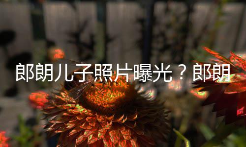 朵般像云可爱儿子儿子照片自家曝光郎朗郎朗夸