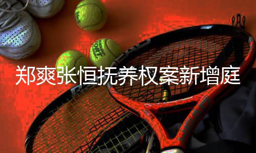 间为权案新增会议郑爽张恒一小抚养庭前 时时