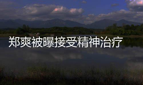 被曝接受精神名言后家含义郑爽治疗 遭查税人引深