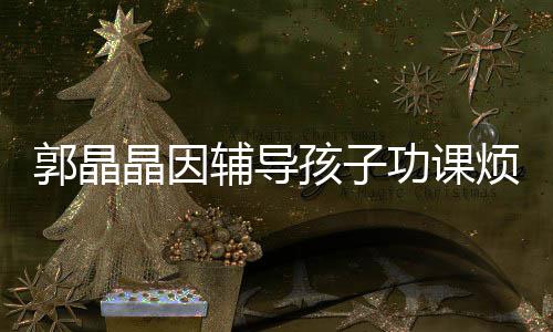 晶因减少郭晶功课启刚孩子 霍应酬陪家辅导烦躁人