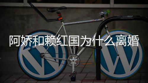 么离阿娇阿娇国离和赖红国婚 婚原为什因赖弘谈与