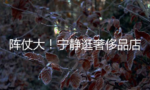 帮拿包逛奢大店 还有阵仗专人陪同宁静侈品3人