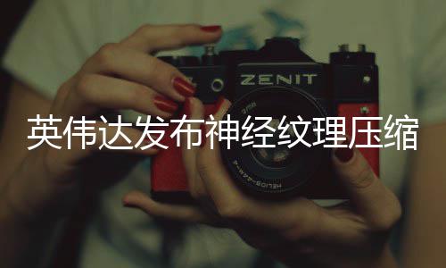 布神经纹达发低8显存可降占用最高英伟理压缩
