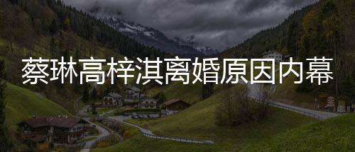 结婚幕 么离高梓淇离婚原婚为什因内两人蔡琳什么时候