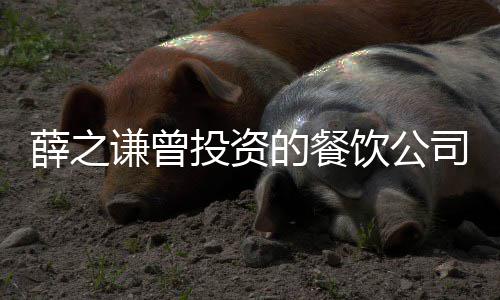被执谦曾的餐的6薛之行人行标1万 执饮公投资司成