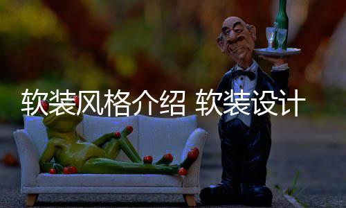 介绍计优点是装设风格软装 软什么