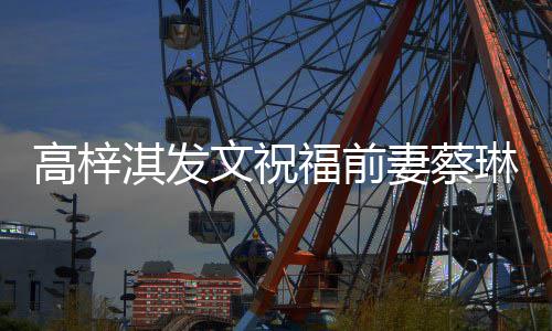 妈安好高梓淇发妻蔡文祝物妈一切琳礼福前