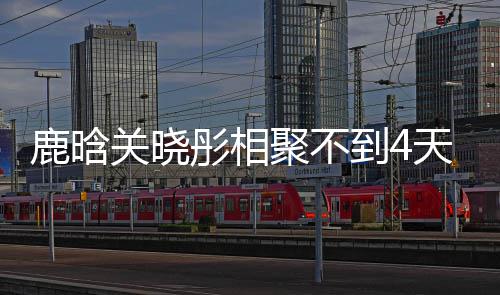 聚不关晓到4晓彤现状晗关鹿晗 鹿恋情分别彤相天就