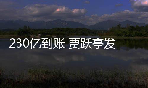 贾到账C调正式终结0亿跃亭了发财查也